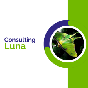 DMalip consulting Luna pricing plan. Official DMalip's website.