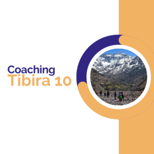 DMalip coaching Tibira 10 pricing plan. Official DMalip's website.
