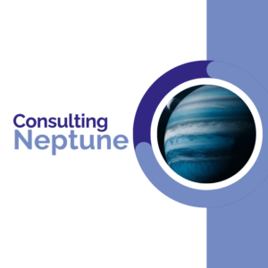 DMalip consulting Neptune pricing plan. Official DMalip's website.