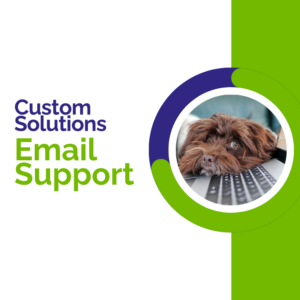 DMalip email support pricing plan. Official DMalip's website.